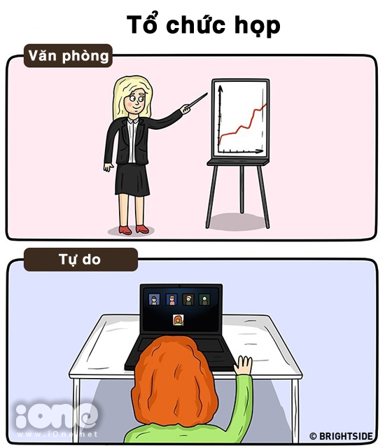 ngồi họp