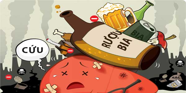 bệnh gan do rượu bệnh gan do rượu