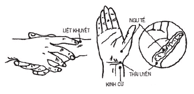 huyệt liệt khuyết