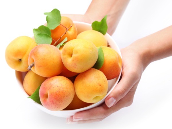 quả mơ